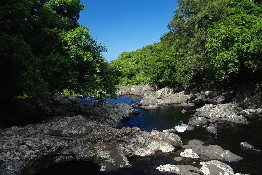 Bassin Boeuf/Riviere SteSuzanne 'Bassin Boeuf Walk' (8)